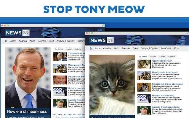 stop-tony-meow-4.jpg