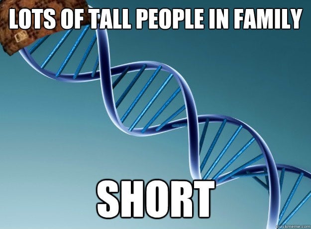 short-dna