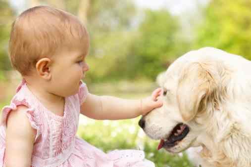 weird-baby-names-that-blur-the-line-between-pet-and-baby-make-it-stop