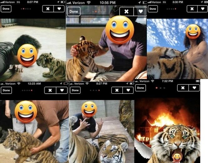 tinder tiger funny tinder stories