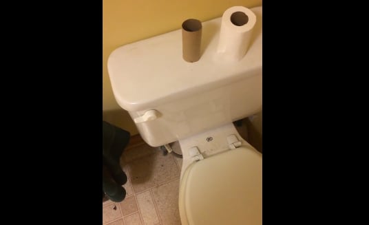 Toilet makes weird noise after flushing. Very weird.