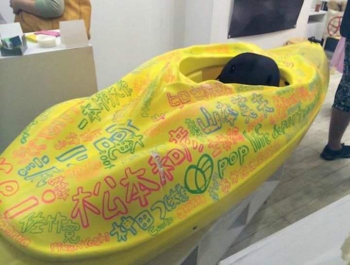 Woman Arrested For Building A Vagina Kayak