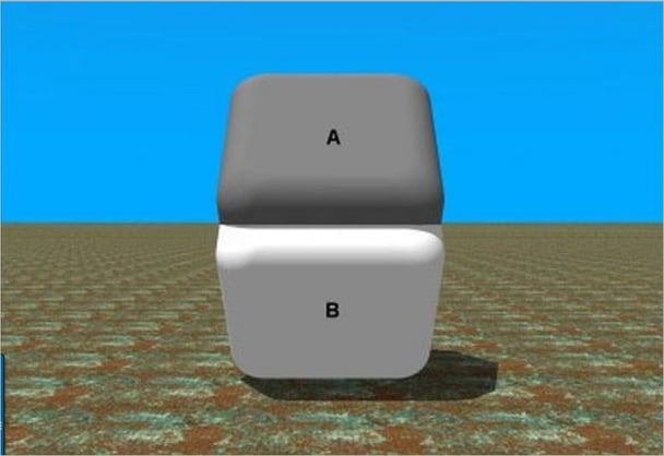 Brain den optical illusion