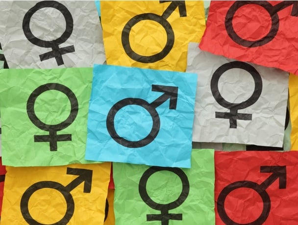 gender male female