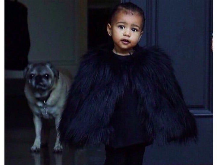 north west trend setter thumb