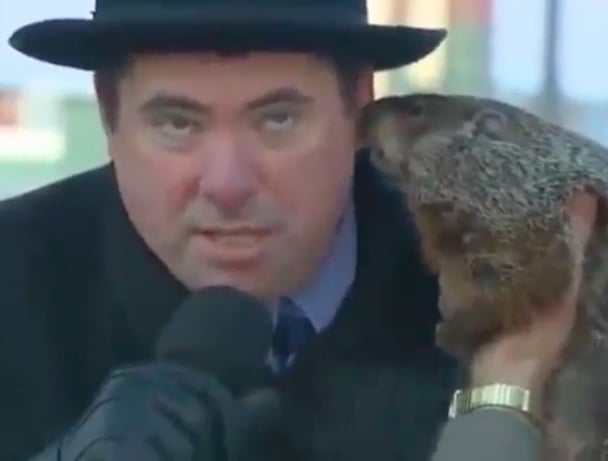 Groundhog
