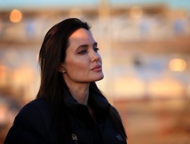 Angelina Jolie ovaries and fallopian tubes