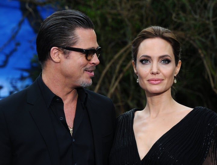 Angelina Jolie ovaries and fallopian tubes