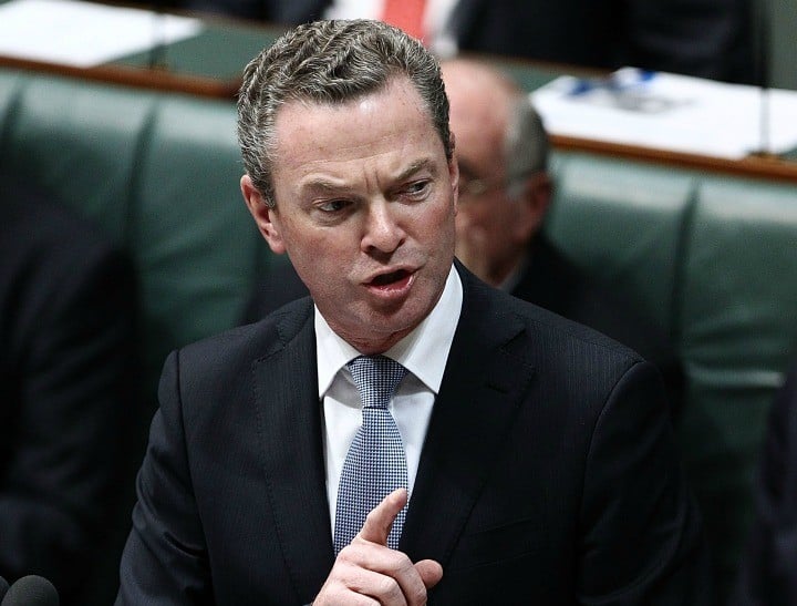 tanya plibersek university fees
