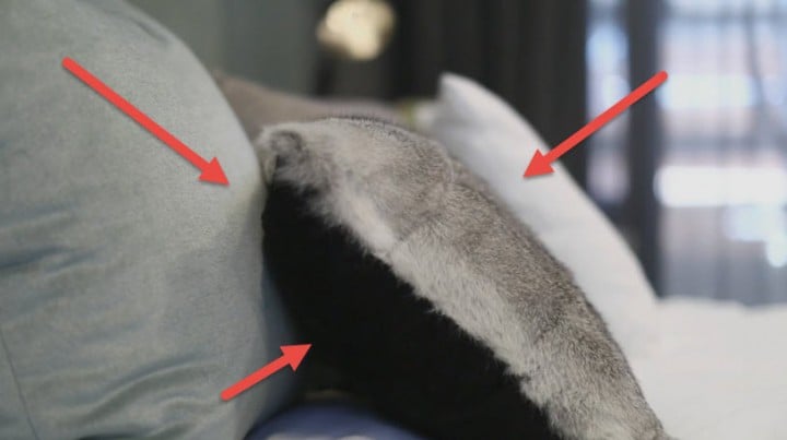 cushion1