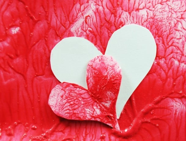 organ donation myths