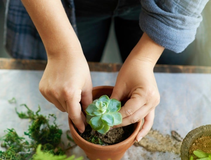 styling your home sustainably