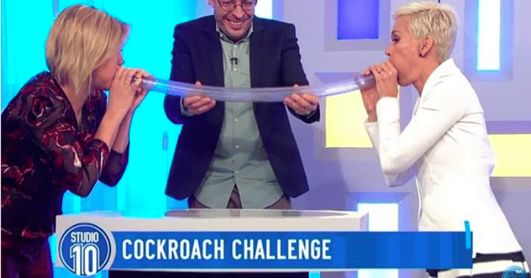 Japanese Cockroach Game Show Nope