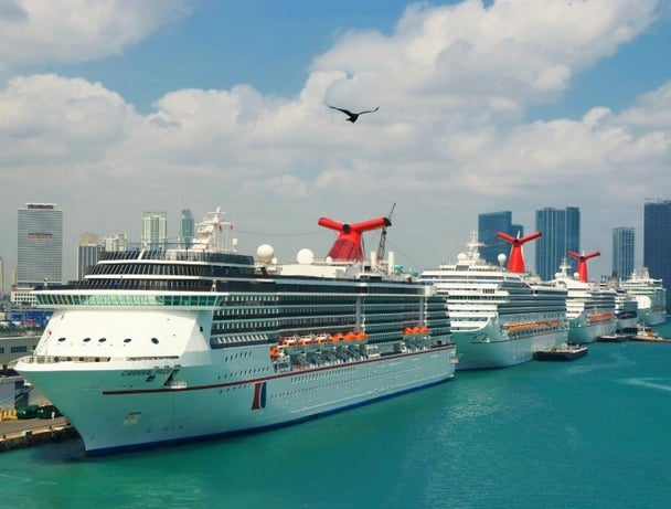 cruise ship flu