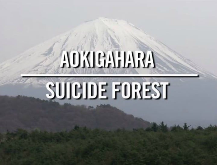 suicide forest