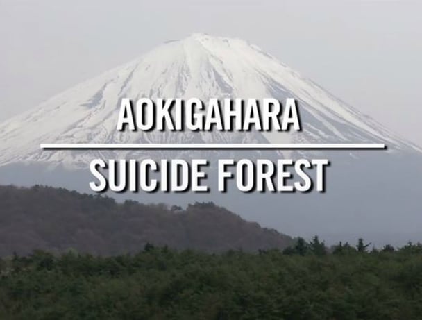 suicide forest