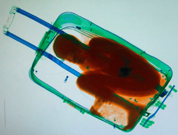boy found in a suitcase