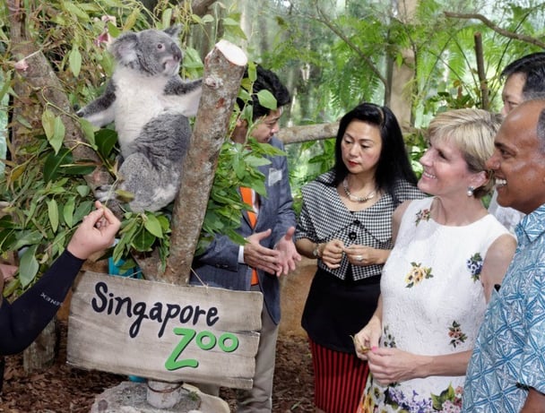 Australia's Foreign Minister Bishop and Singapore's Foreign Minister Shanmugam meet the star attractions at Singapore Zoo's new koala exhibit to mark 50 years of diplomatic relations and 50 years of Singaporean independence. 20 May 2015.