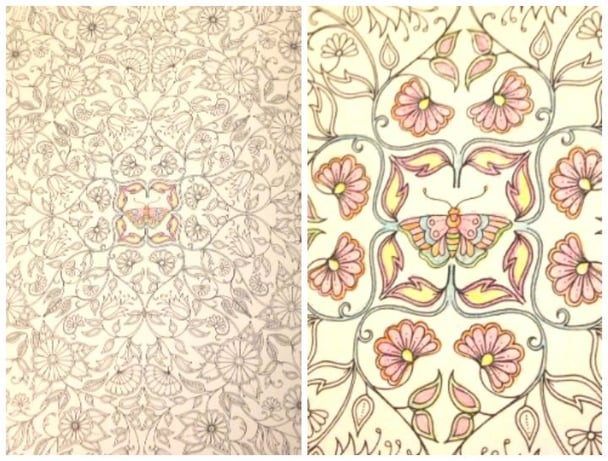 colouring in books for adults