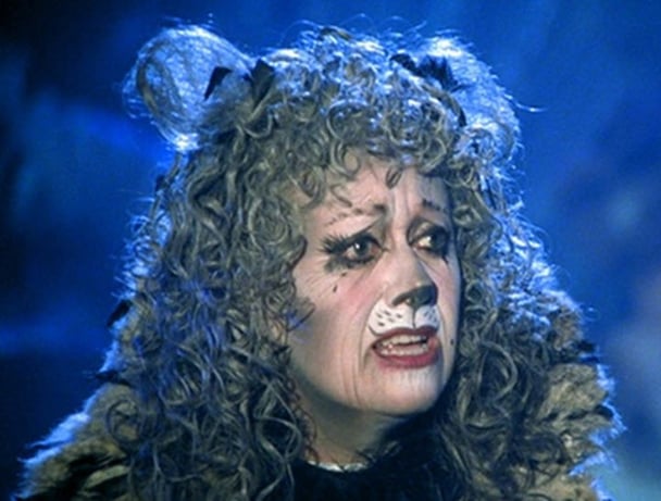 Cats