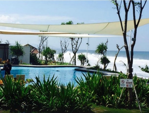 wake bali dolphins