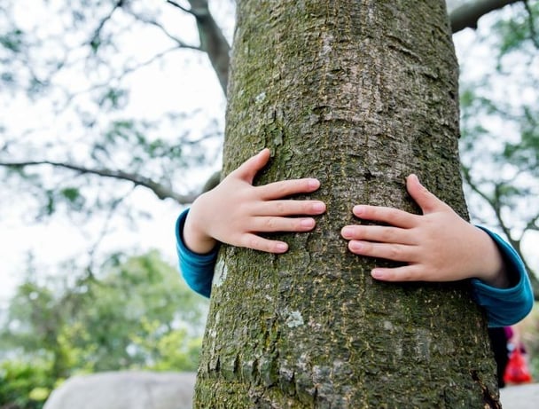 saving the environment