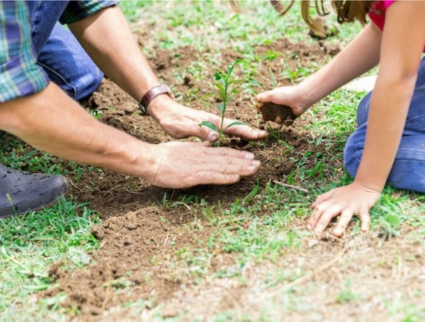 saving the environment