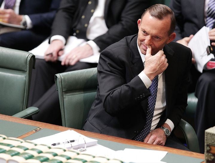 Tony Abbott feature
