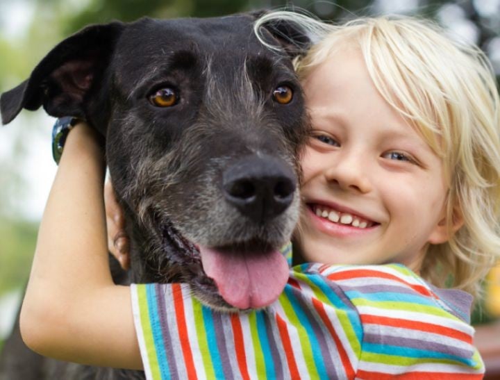 when to euthanise your pet