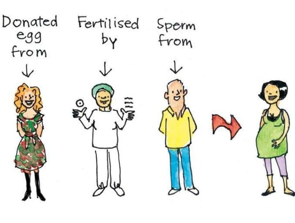 how babies are made