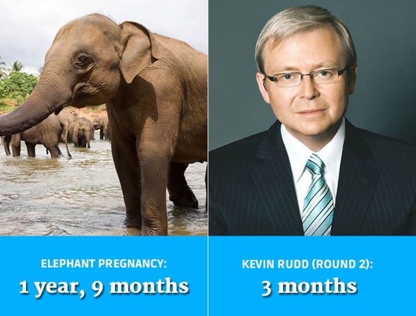Australian Prime Ministers