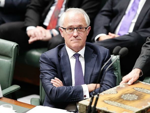 Tanya Plibersek on Malcolm Turnbull