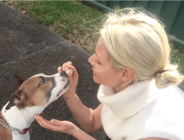 rescue pets geoffrey