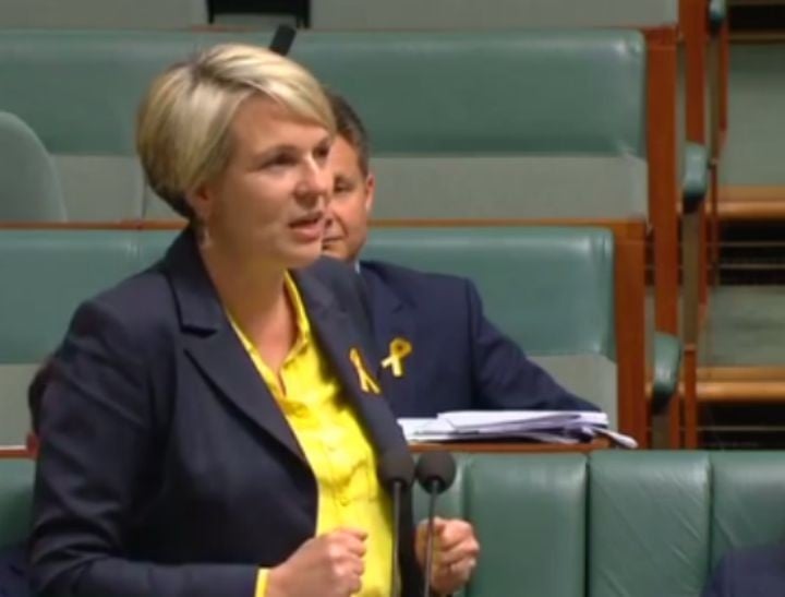 Tanya Plibersek on Malcolm Turnbull