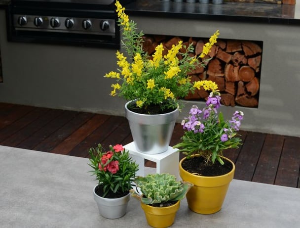 spring DIY