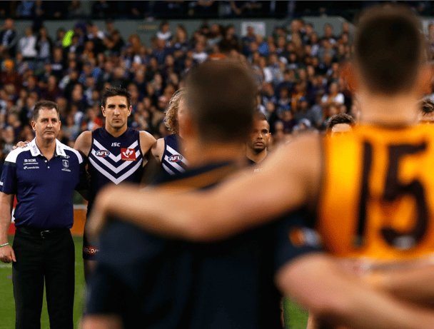 afl finals violence
