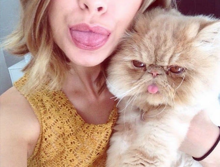 winston smushface cat