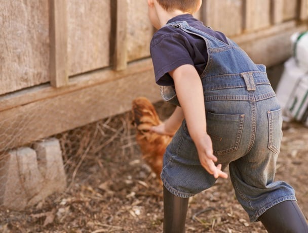 keep kids entertained