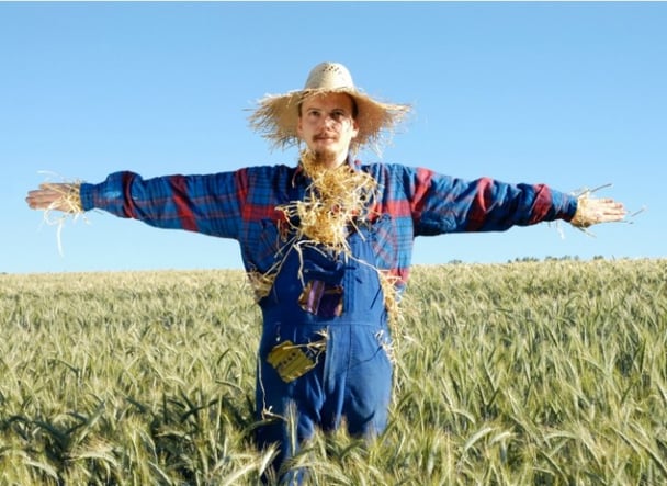 human scarecrow