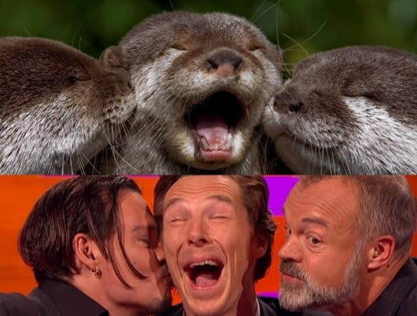benedict cumberbatch otter