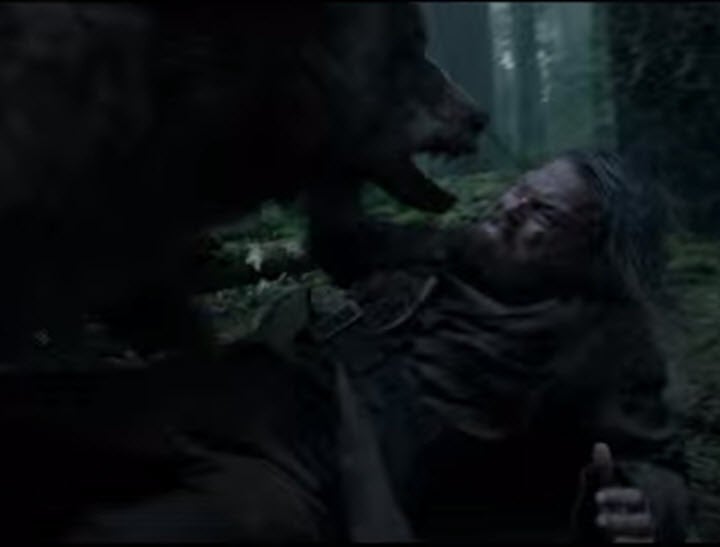 leo bear