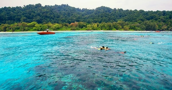 traveller snorkeling in the tropical sea at sunny day , tachai island , Thailand