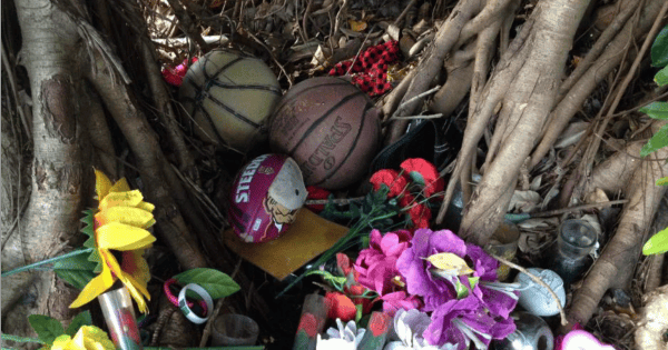 children killed in cairns
