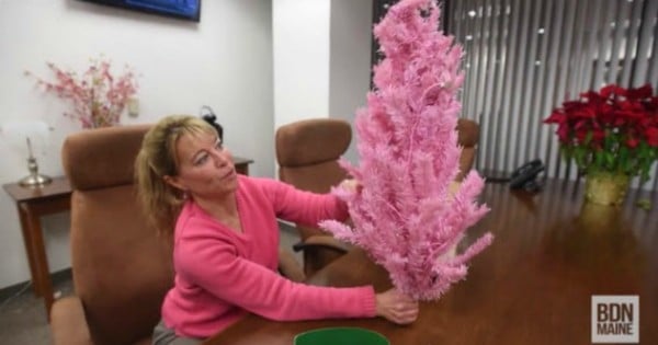 teacher remove christmas tree