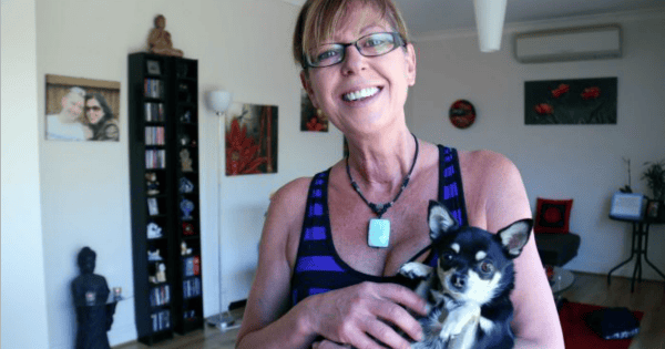 pet home stay