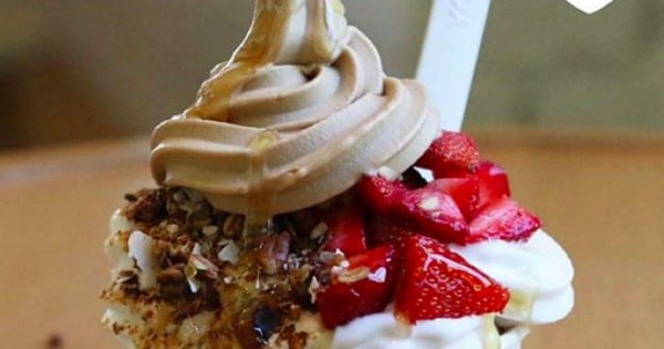 Frozen Yogurt