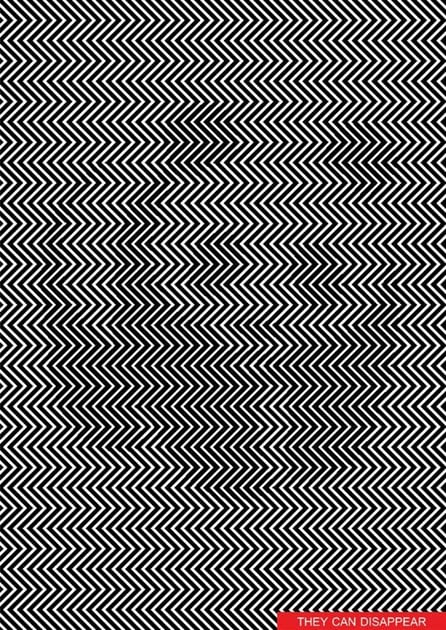 Panda optical illusion