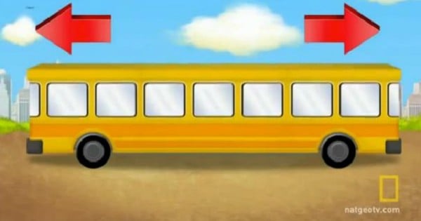 BusBrainTeaser NatGEoTV screenshot