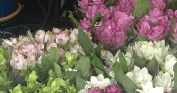 Market flowers in Bangkok. wendy famil