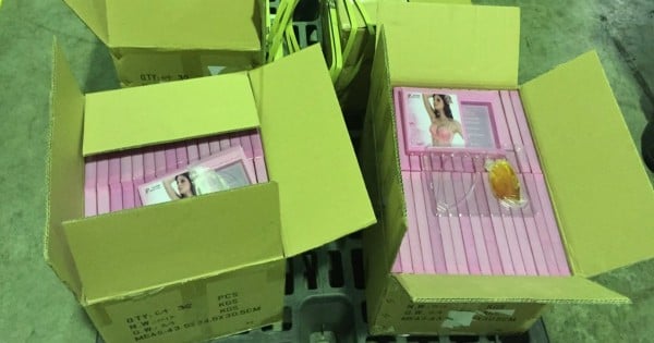 ice bust bra inserts